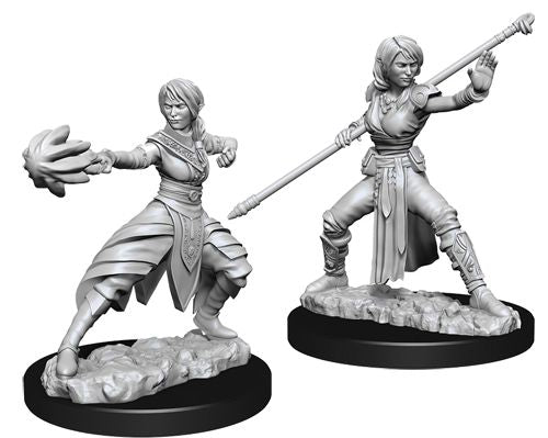 D&DNMUM Half-Elf Monk Female W10