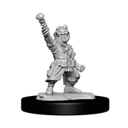 D&DNMUM Gnome Artificer Male W14