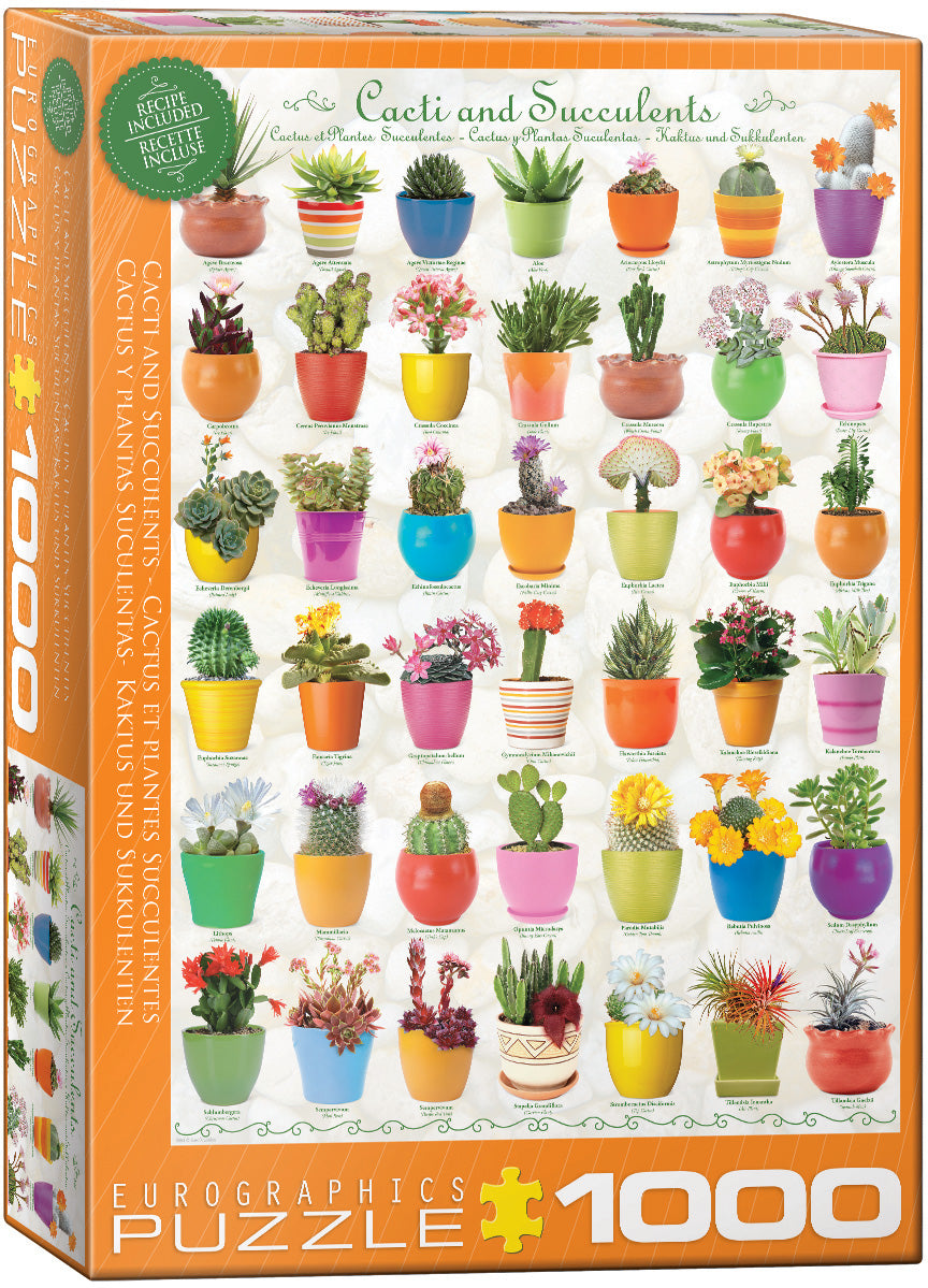 Cacti & Succulents 1000pc