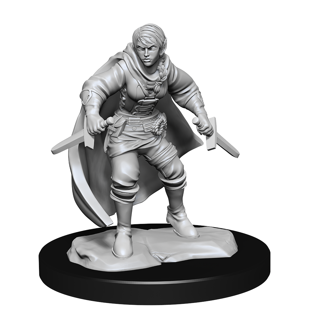 D&DNMUM Half-Elf Rogue  Female W14