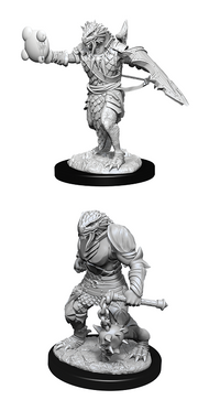 D&DNMUM Dragonborn Paladin Male W11