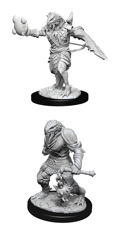 D&DNMUM Dragonborn Paladin Male W11