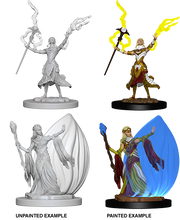 D&DNMUM Elf Wizard Female W3