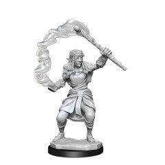 D&DNMUM Firbolg Druid Female W13