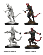 D&DNMUM Tiefling Rogue Male W5