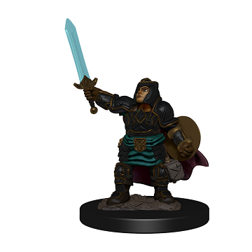 D&D ICONS: PF Dwarf Paladin Female W4