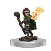 PFB Premium Gnome Druid Male W03