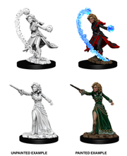 PFDCUM Human Wizard Female W6