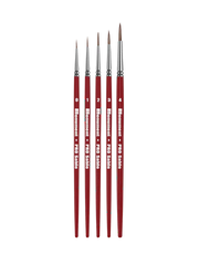 Pro Sable 5 Brush Set