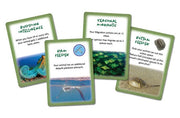 Dominant Species Marine
