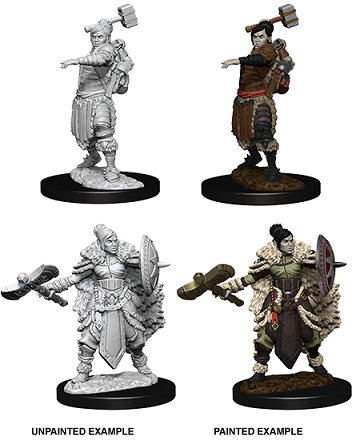 D&DNMUM Half-Orc Barbarian Female W9