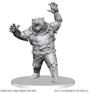 D&DNMUM W28 Werebear