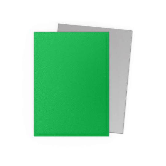 Dragon Shield Sleeves Dual Matte Apple Green Silver (100)