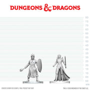 DNDNMUM W29 Black Gauntlet & Zhentilar Paladin of Bane