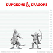 DNDNMUM W29 Elf Ranger & Dragonborn Monk