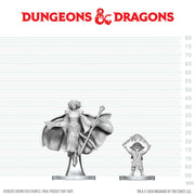 DNDNMUM W29 Gnome Warlock & Aasimar Wizard