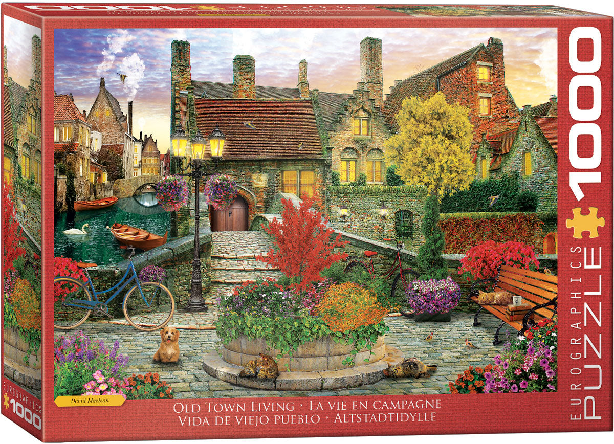 Old Town Living 1000pc