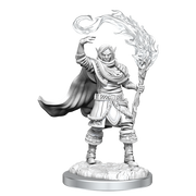 D&DNMUM Elf Cleric Male W16