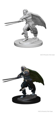 D&DNMUM Elf Ranger Male W1