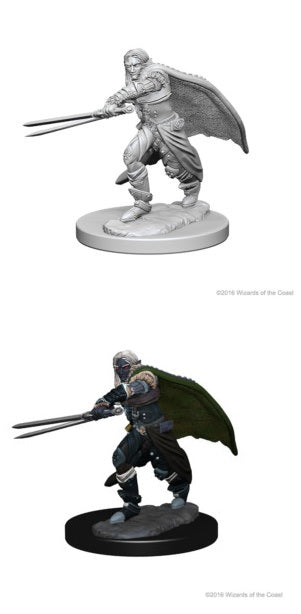 D&DNMUM Elf Ranger Male W1