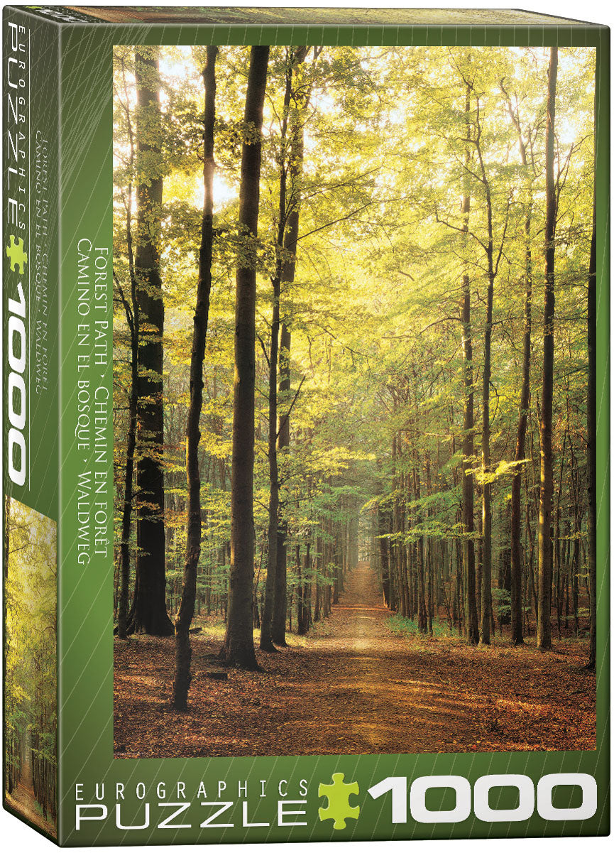 Forest Path 1000pc