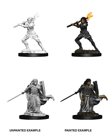 D&DNMUM Human Paladin Female W10