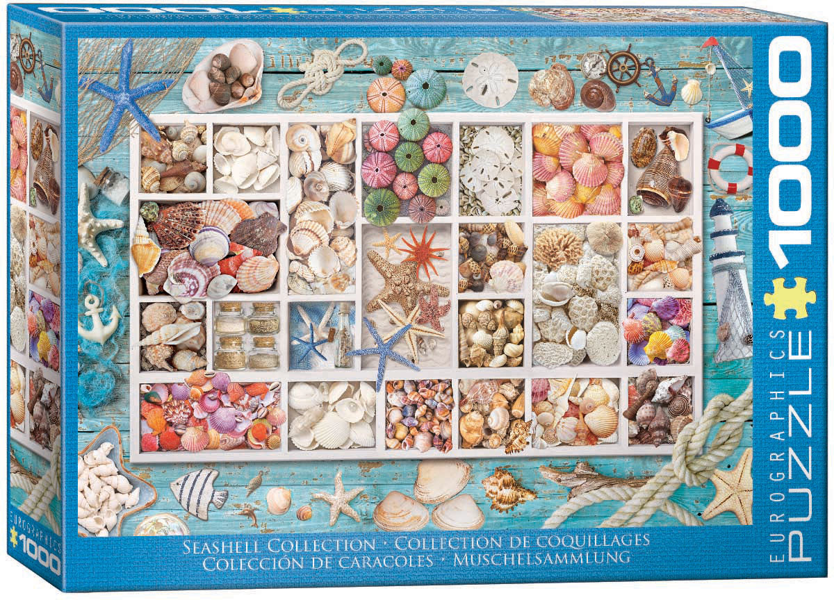 Seashell Collection 1000pc