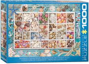 Seashell Collection 1000pc