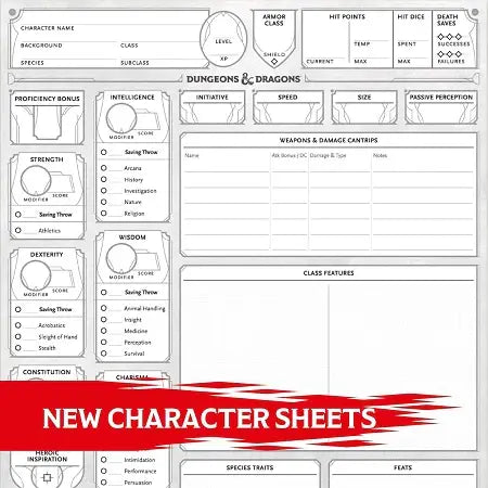 D&D Character Sheets 2024
