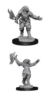 D&DNMUM Dragonborn Fighter Female W11