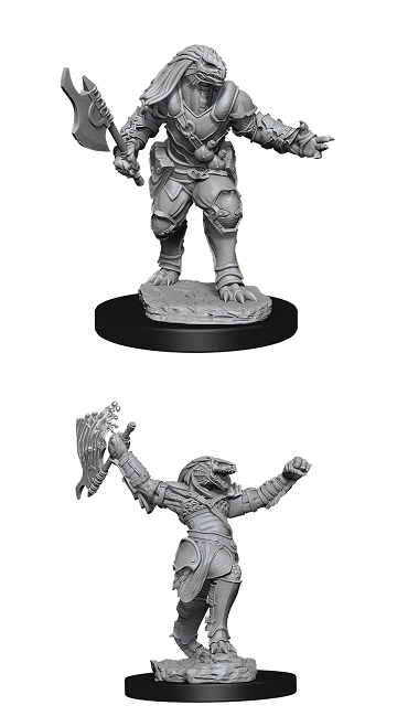 D&DNMUM Dragonborn Fighter Female W11
