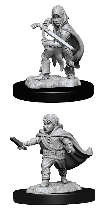 D&DNMUM Halfling Rogue Male W13