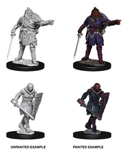 D&DNMUM Hobgoblins W8
