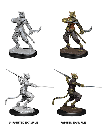 D&DNMUM Tabaxi Rogue Male W7