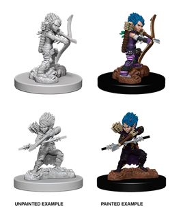 PFDCUM Gnome Rogue Female W6