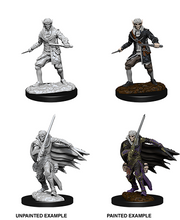 PF UM Elf Rogue Male W10