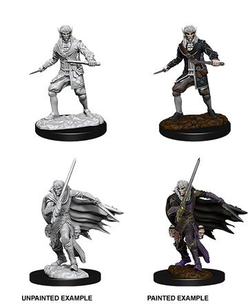 PF UM Elf Rogue Male W10