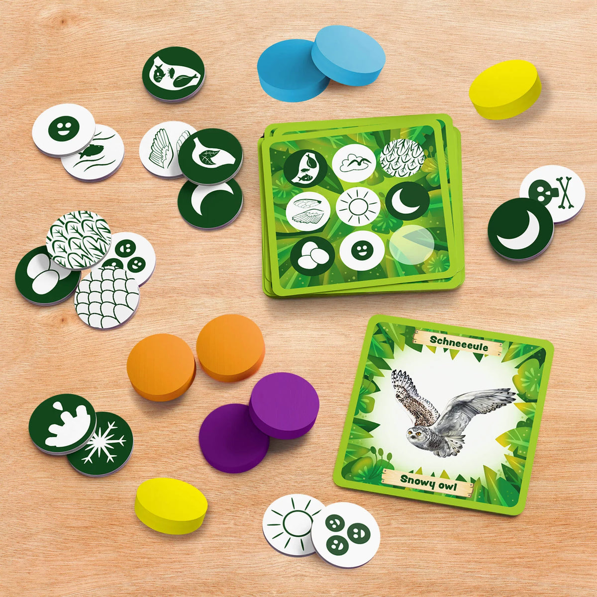 Animals of the World Bingo