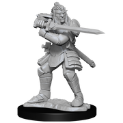 D&DNMUM Hobgoblin Fighter Male & Hobgoblin Wizard Female W15