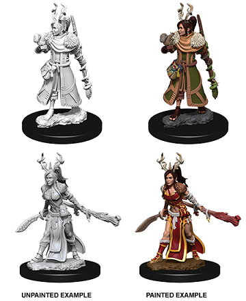 D&DNMUM Human Druid Female W9