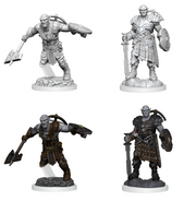 D&DNMUM Earth Genasi Fighter W20