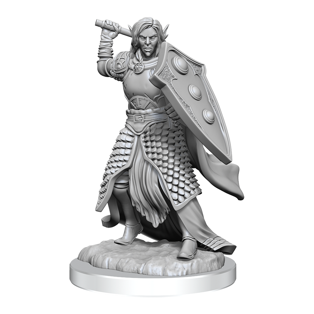 D&DNMUM Elf Cleric Male W16