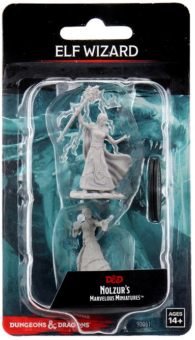 D&DNMUM Elf Wizard Female W12